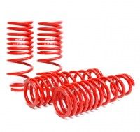 Lowering Springs