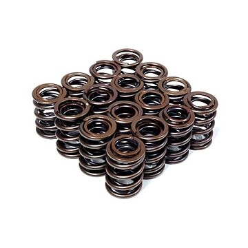 BLOX Racing valve springs (B-serie engines) | BXPT- 10300 | A4H-TECH.COM