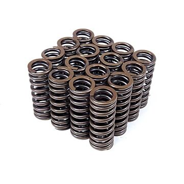 BLOX Racing valve springs (D-serie SOHC VTEC engines) | BXPT-20301 | A4H-TECH.COM