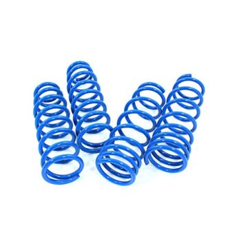 AP Suspension lowering springs 40/30 mm (Civic 92-95/ Del Sol 92-98/Integra 95-00) | FS50-008 | A4H-TECH.COM