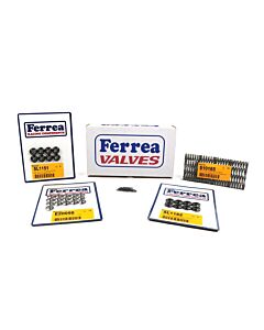 Ferrea titanium retainers/valve springs/seats/lock set (Honda K-serie engines)