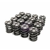 Skunk2 Alpha Series Klepveren/Klepschotels Kit (K/F-serie motoren) | 344-05-1410