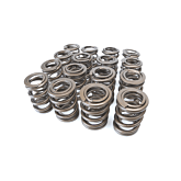 Ferrea high pressure klepveren Kit (B-serie motoren) | FE-S10027