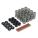 Skunk2 Ultra series valve springs / springs base / valve stem seals kit (Honda Civic 17+ L15B7 1.5 Turbo FK7 engines) | 313-05-9400 | A4H-TECH / ALL4HONDA.COM