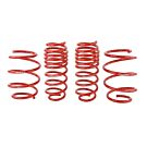 Skunk2 lowering springs 60/55MM (integra 95-00) | 519-05-1560 | A4H-TECH.COM