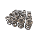 Ferrea high pressure valve springs Kit (B-serie engines) | FE-S10027-16 | A4H-TECH.COM