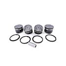 Nippon Racing Japan pistons + piston rings 4-piece P29 (Honda D16A9/D16Z5 DOHC ZC engines) | PS-P29-X | A4H-TECH / ALL4HONDA.COM